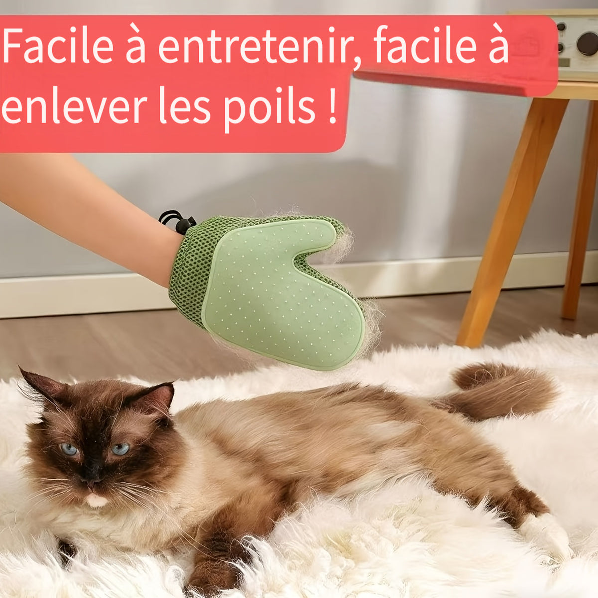Gants de toilettage antidérapants